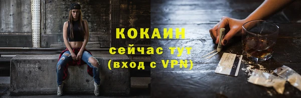 винт Осинники