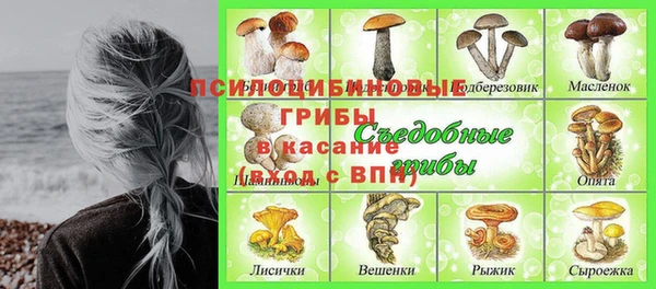 винт Осинники
