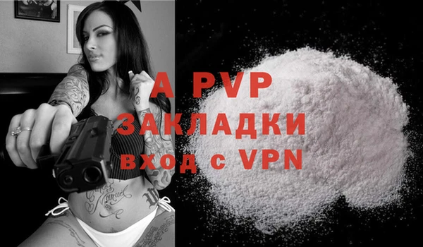 Альфа ПВП Няндома