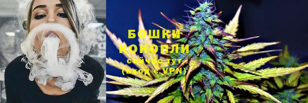 Альфа ПВП Няндома